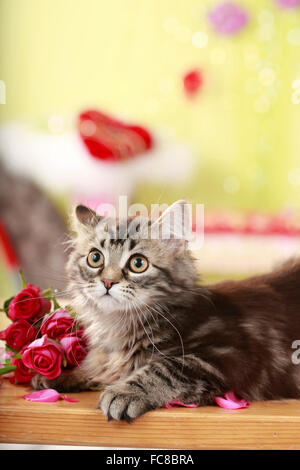 Angora allemand Cat. Tabby Chaton rose avec des fleurs. Allemagne Banque D'Images