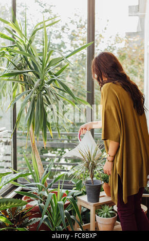 Caucasian woman watering potted plants Banque D'Images