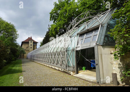 Greenhouse au Château de Prague Banque D'Images