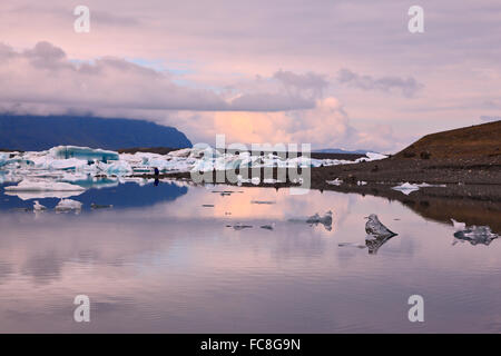 Les icebergs translucides dans la lagune de glace Banque D'Images