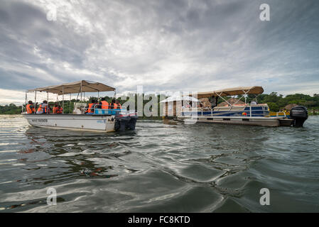 La source du Nil au point où il quitte le lac Victroia. Près de Jinja, Ouganda, Afrique du Sud Banque D'Images