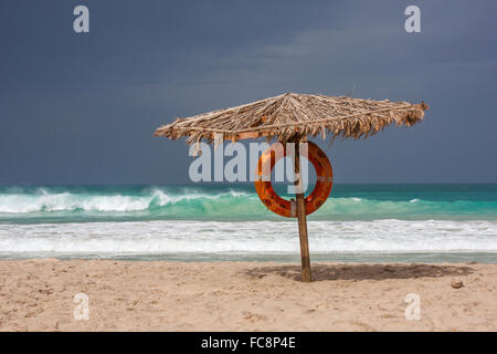 Environnement plage de Boa Vista, Cap Vert Banque D'Images