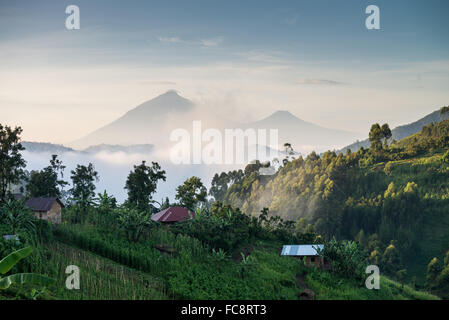 Vue du mont Muhavura (4127m), l'un des trois pics volcaniques dans la Mgahinga Gorilla National Park dans le sud de l'Ouganda, l'Afrique Banque D'Images