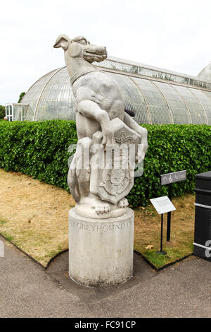 Le Greyhound Blanc de Richmond est l'une des bêtes, la reine des jardins botaniques de Kew Royal Botanical Gardens London England UK Banque D'Images