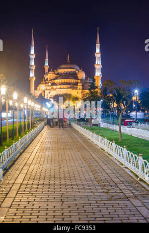 La mosquée bleue (mosquée Sultan Ahmed), site du patrimoine mondial de l'UNESCO, à Sultanahmet Square Park et Jardins la nuit, Istanbul, Turquie Banque D'Images