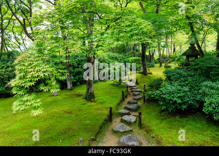 Okochi Sanso Villa garden, chemin de pierre, vibrantes de feuillus avec sol recouvert de mousse en été, de Arashiyama, Kyoto, Japon Banque D'Images