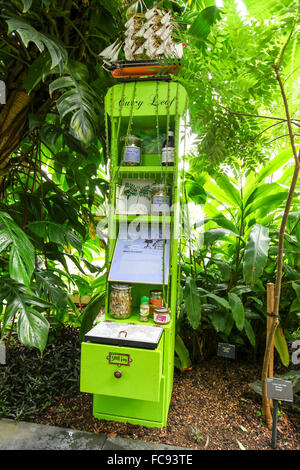 Un Curry Leaf à l'affichage pleine d'encens Summer Festival Palm House Kew Gardens Royal Botanical Gardens London England UK Banque D'Images