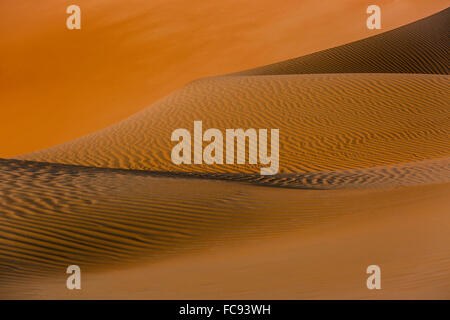 Formes, structures et modèles, l'ombre et la lumière sur les dunes de sable, Rub' al Khali ou quart vide, Emirats Arabes Unis Banque D'Images