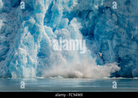 Les icebergs du Sud vêlé Sawyer Glacier dans Arm-Fords Tracy Région sauvage la terreur dans le sud-est de l'Alaska, USA Banque D'Images