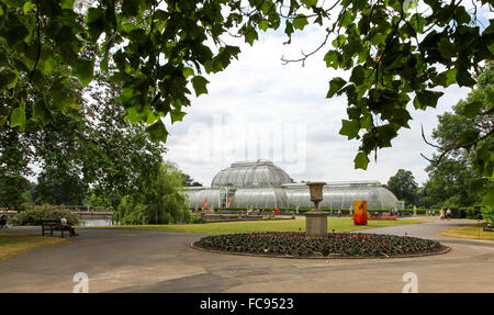 Le Palm House à Kew Gardens Royal Botanical Gardens London England UK Banque D'Images