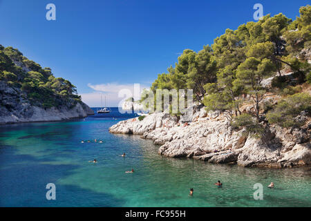 Les Calanques, Port Pin, Parc National, Cassis, Provence, Provence-Alpes-Côte d'Azur, le sud de la France, France, Europe Banque D'Images