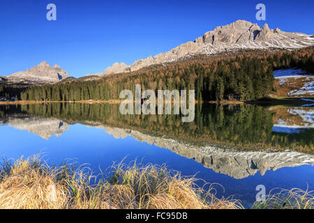 Les Trois Cimes de Lavaredo et woods reflète dans le lac de Misurina Auronzo, de Cadore, Dolomites, Veneto. L'Italie. L'Europe Banque D'Images