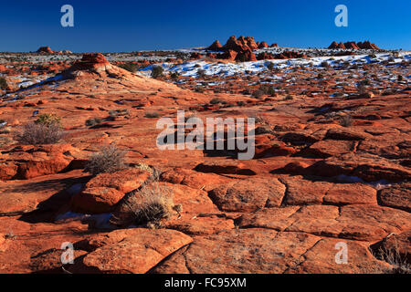 Coyote Buttes North, grès fragil formé par le vent et l'eau, Paria Wilderness Area, Arizona, États-Unis d'Amérique Banque D'Images