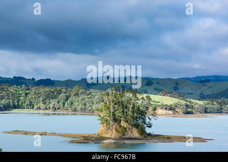 In Snells Beach, près de l'estuaire de la région d'Auckland, île du Nord, Nouvelle-Zélande, Pacifique Banque D'Images