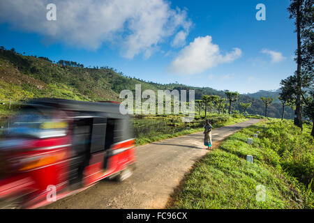 Tuk Tuk, Haputale, Sri Lanka, Asie Banque D'Images