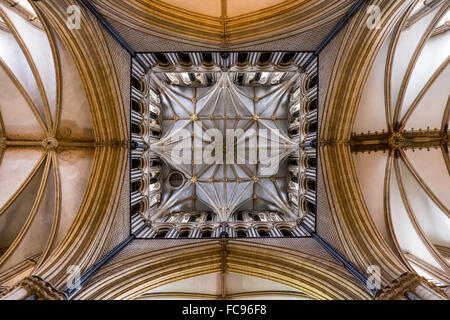 Le plafond de la cathédrale de Lincoln, Lincoln, Lincolnshire, Angleterre, Royaume-Uni, Europe Banque D'Images