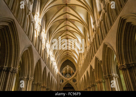 L'intérieur de la cathédrale de Wells, Somerset, Angleterre, Royaume-Uni, Europe Banque D'Images