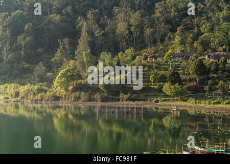 Sur les rives du lac Bratan, Bedugul, Bali, Indonésie Banque D'Images