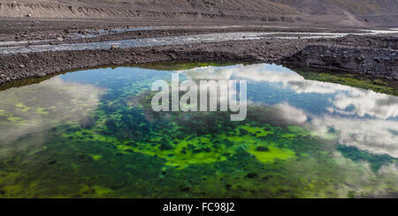 Reflet dans l'étang par Gigjokull- glacier émissaire de Eyjafjallajokull glacière, à l'Islande Banque D'Images