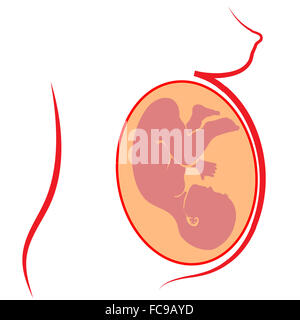 Foetus humain Silhouette Banque D'Images