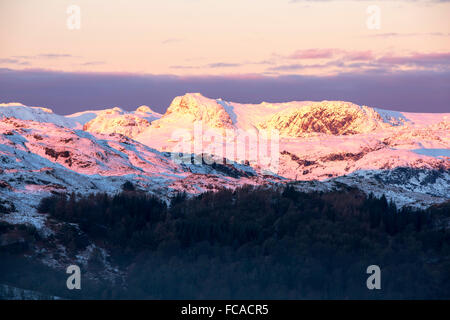 Matin première lumière au lever du soleil sur Langdale Pikes, Lake District, UK, prises le 20 janvier 2016. Banque D'Images