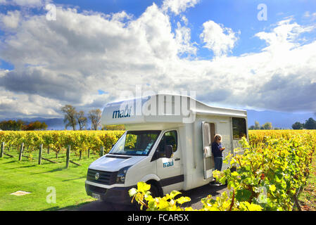 Lady On STEP of camping-car en regardant une feuille de vigne à Cloudy Bay's Vineyard, Marlborough, île du Sud, Nouvelle-Zélande Banque D'Images