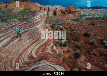 Les nuages menaçants sombres glissent les stries de Red Rock Valley of Fire State Park. Banque D'Images