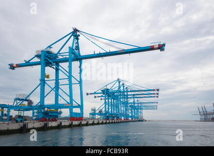 ROTTERDAM, Pays-Bas - 28 juin 2015 : grandes grues portuaires dans le port. Rotterdam est le plus grand port d'Europe. Banque D'Images