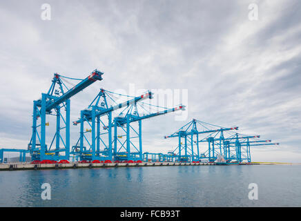 ROTTERDAM, Pays-Bas - 28 juin 2015 : grandes grues portuaires dans le port. Rotterdam est le plus grand port d'Europe. Banque D'Images