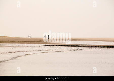 Pays-bas, Renesse, Couple walking on beach with dog Banque D'Images