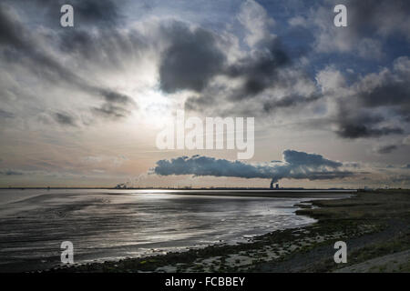 Pays-bas, Baalhoek, rivière Westerschelde. Vue sur la centrale nucléaire de DOEL en port d'Anvers (Belgique) Banque D'Images