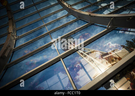 Vue de la Space Needle de l'intérieur du jardin et musée de verre Chihuly conservatory à côté Banque D'Images