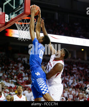 Fayetteville, AR. 13 Jan, 2016. Kentucky Wildcats avant Marcus Lee (00) avec le suivi de l'Arkansas avant slam à Trey avant Craftsman aspirateur avale Thompson (1) comme l'Arkansas Kentucky a joué le jeudi 21 janvier 2016 à Fayetteville, AR. © Lexington Herald-Leader/ZUMA/Alamy Fil Live News Banque D'Images