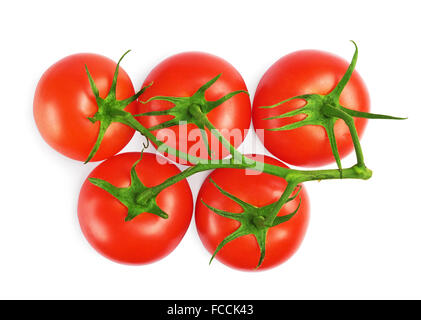 Bouquet de tomates rouge isolé sur fond blanc Banque D'Images