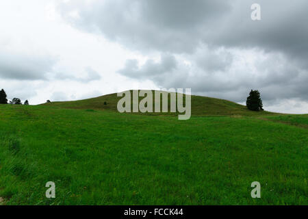 Haute colline recouverte d'une pelouse et des arbres Banque D'Images