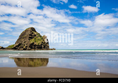 Piha beach, qui est situé sur la côte ouest à Auckland, Nouvelle-Zélande. Banque D'Images