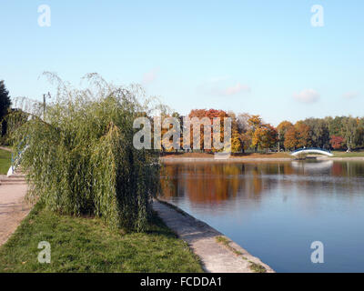 Parc de la ville de l'automne d'or Banque D'Images