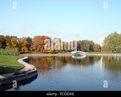 Parc de la ville de l'automne d'or Banque D'Images