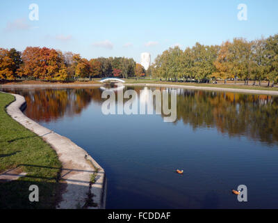 Parc de la ville de l'automne d'or Banque D'Images