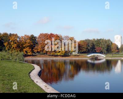 Parc de la ville de l'automne d'or Banque D'Images