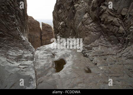 La fenêtre - étroit canyon slickrock érodés dans bassin Chiso, Big Bend National Park, Texas Banque D'Images