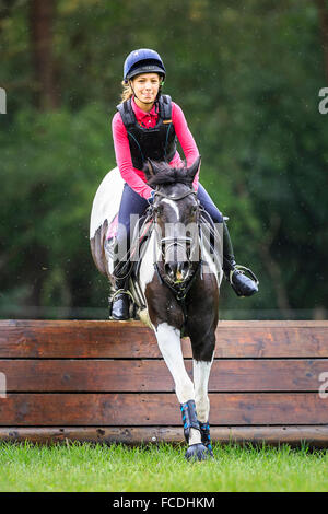 Poney Pinto. Fille sur un poney book la négociation d'un obstacle lors d'une ride. Allemagne Banque D'Images