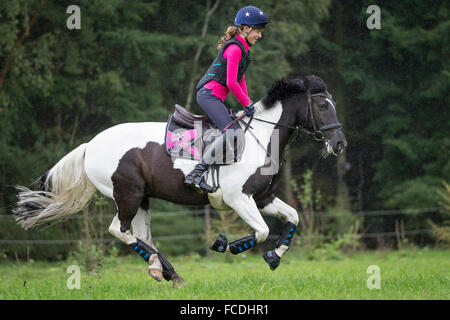 Poney Pinto. Fille sur un poney galoper sur l'herbe book lors d'une ride. Allemagne Banque D'Images