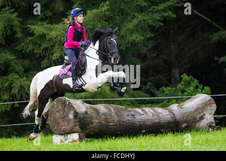 Poney Pinto. Fille sur un poney book la négociation d'un obstacle lors d'une ride. Allemagne Banque D'Images