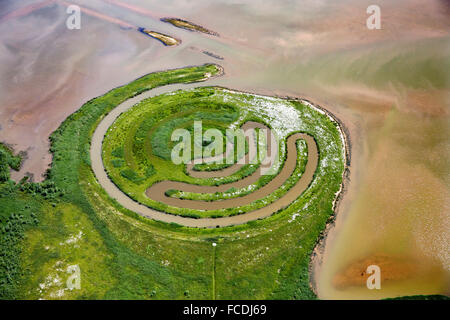 Pays-bas, Amsterdam, Parc National Biesbosch. Zone de marée d'eau douce. Artwork. Aerial Banque D'Images