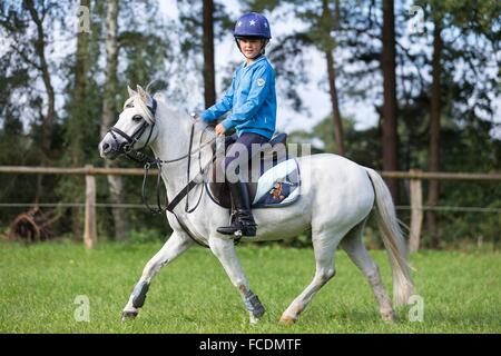 Poney Welsh Mountain, Section A. Girl trottant sur un poney gris. Allemagne Banque D'Images