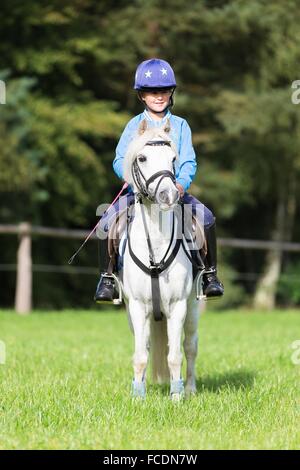 Poney Welsh Mountain, Section A. Fille sur un poney gris, comité permanent. Allemagne Banque D'Images