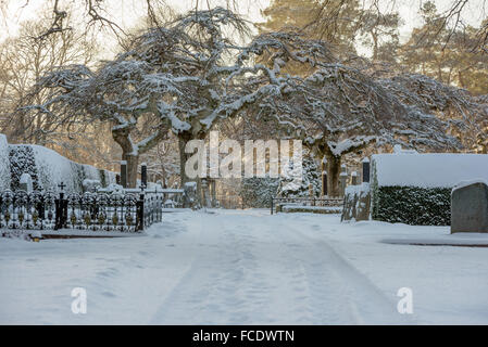 Ronneby, Suède - le 20 janvier 2016 : Bredakra cimetière en hiver. La neige recouvre le paysage et les pierres tombales cette journée froide. Banque D'Images