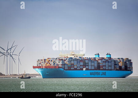 Pays-bas, Rotterdam. Port de Rotterdam. Maasvlakte 2 port. Maersk container ship Banque D'Images