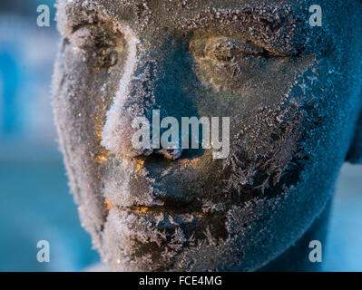 Cristaux de glace sur le visage de la statue de bronze 'Swimmer" par l'artiste Fritz Cremer pendant moins 10 degrés Celsius dans la région de Frankfurt (Oder), Allemagne, 22 janvier 2016. Photo : Patrick Pleul/dpa Banque D'Images